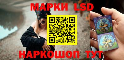 шишки Гатчина