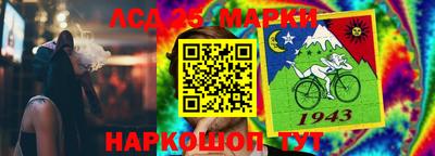 шишки Гатчина