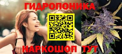 шишки Гатчина