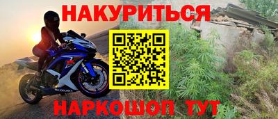 шишки Гатчина