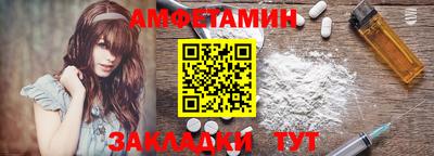 шишки Гатчина