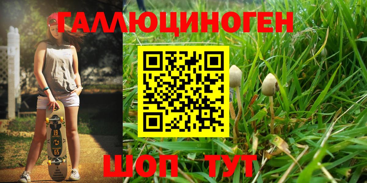 Новочеркасск  Псилоцибиновые грибы прущие грибы  Вход с VPN 