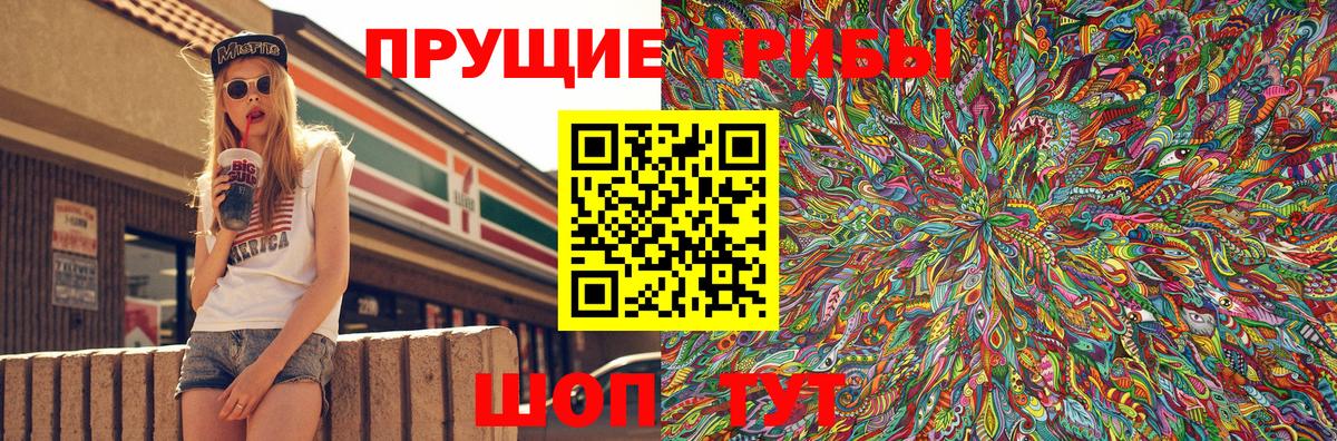 Псилоцибиновые грибы Psilocybine cubensis Новочеркасск